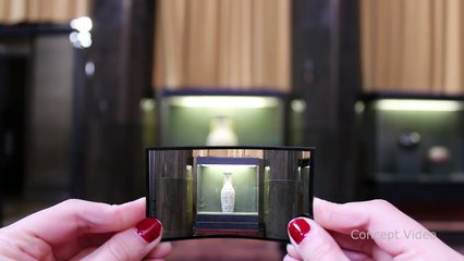 Camara de láminas flexibles