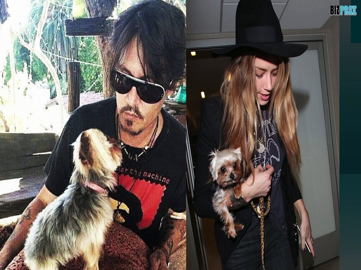 Johnny Depp and Amber Heard Video Apology Over Dogs