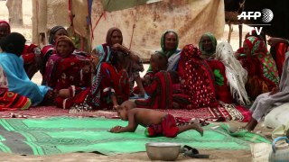 Nomadic people vote in Chad elections