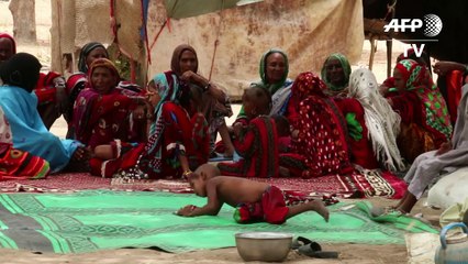 Nomadic people vote in Chad elections