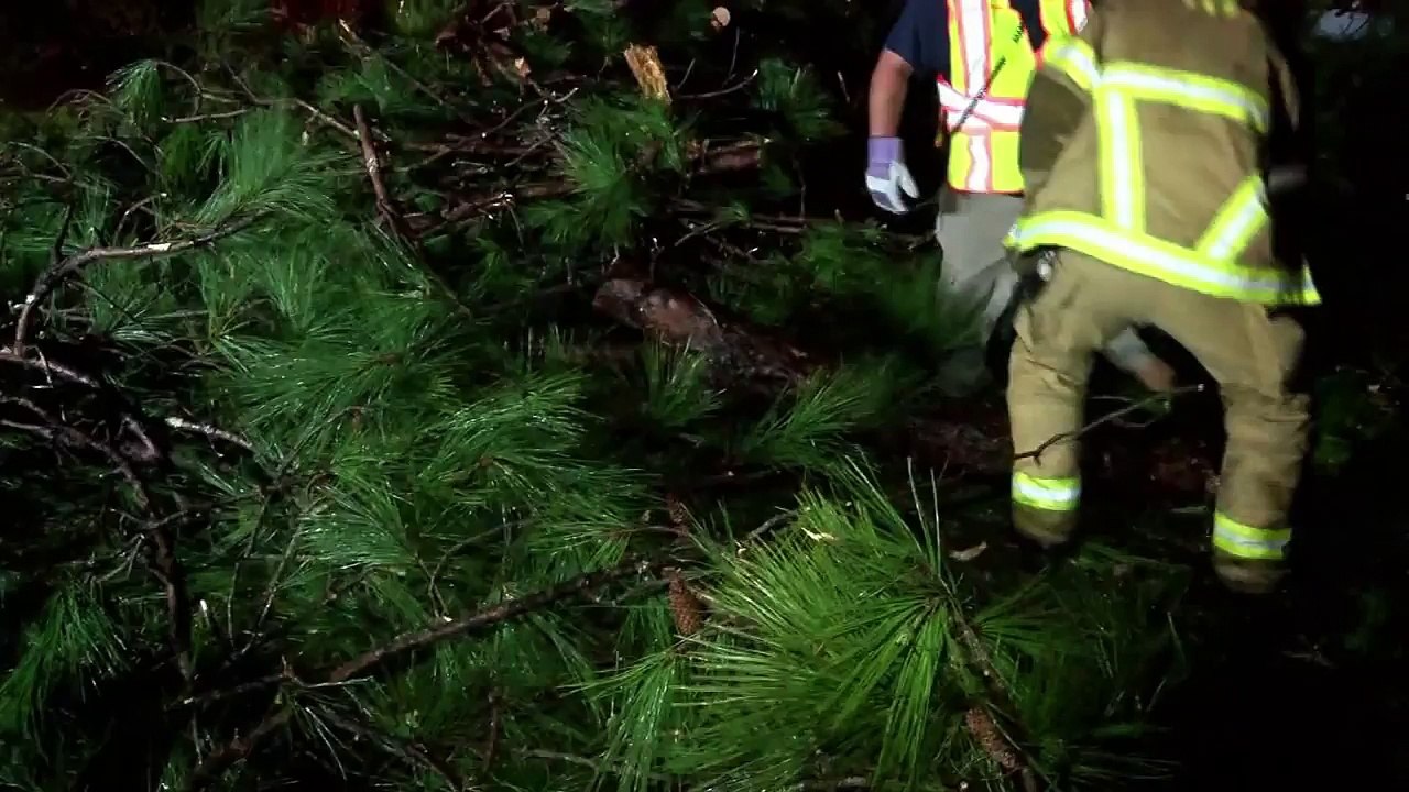Severe Weather Damage in Montgomery Area April 7