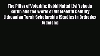 Read The Pillar of Volozhin: Rabbi Naftali Zvi Yehuda Berlin and the World of Nineteenth Century