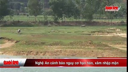Nghệ An cảnh báo nguy cơ hạn hán, xâm nhập mặn
