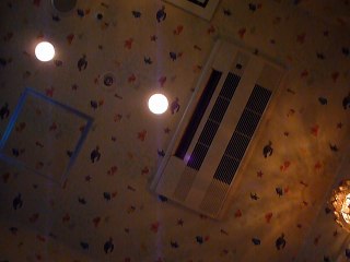 一晩中ジャパン