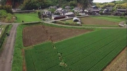 Japon : A Kumamoto, les séismes ont ouvert le sol en deux !