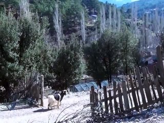 Danıştay: Alakır Vadisi'nde HES yapılamaz