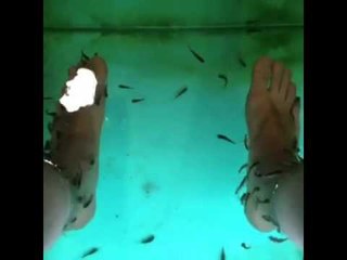 Ayak nasır tedavisi için birebir şifalı doktor balıklar