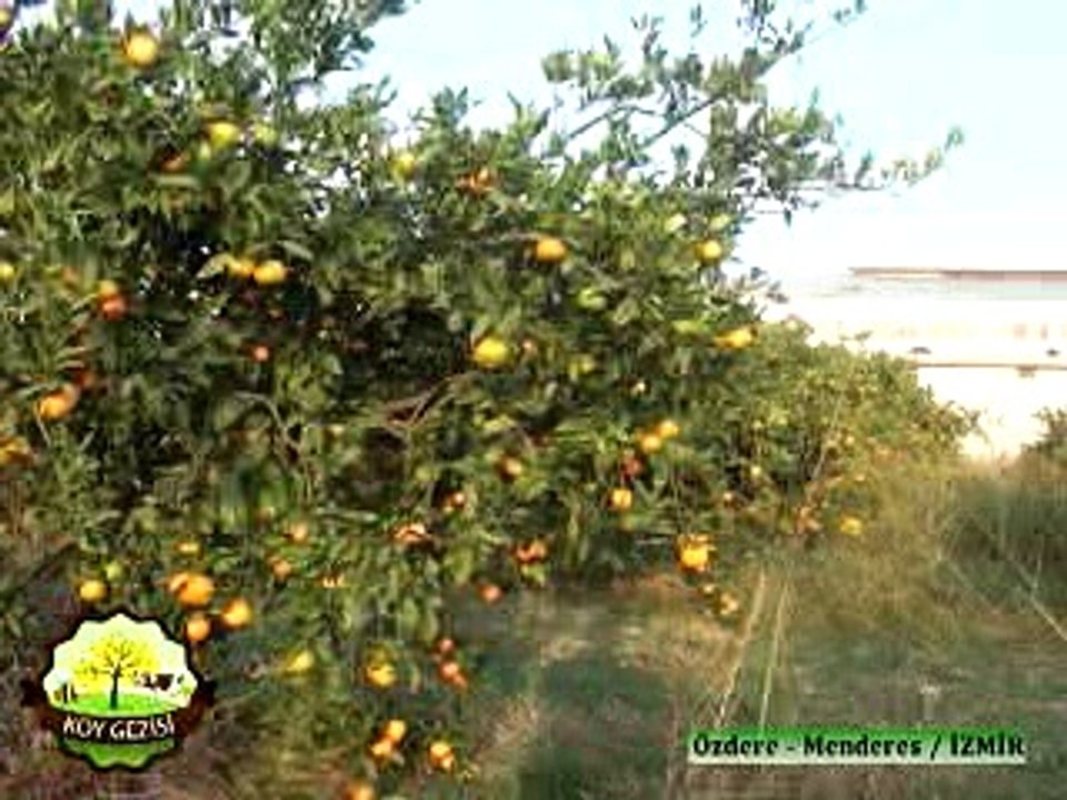 266 Özdere Tarım Çalıştayı