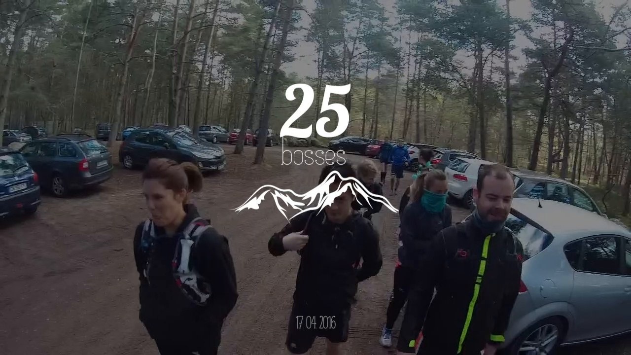 25 bosses avril 2016