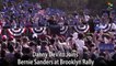Danny DeVito Joins Bernie Sanders at Brooklyn Rally