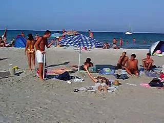 rissa in spiaggia