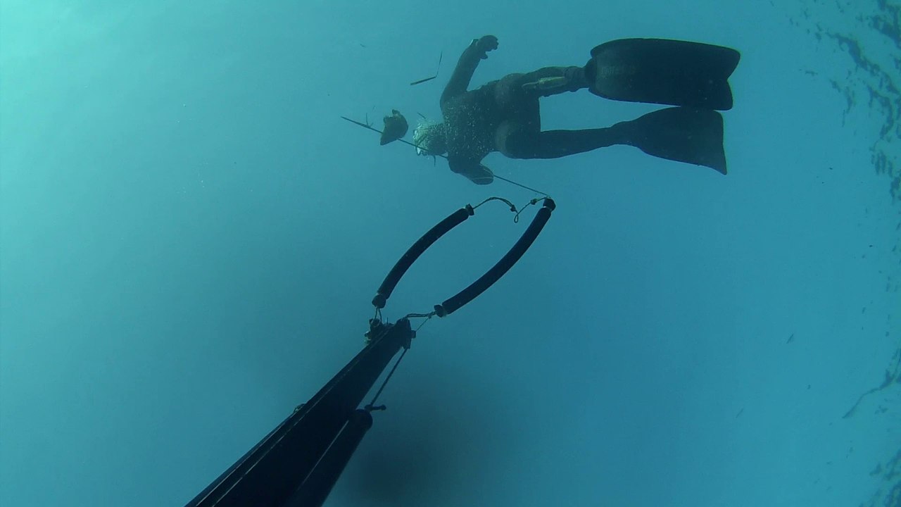 Chasse sous-marine hiver 2016