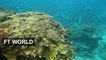 El Nino exacerbates Great Barrier Reef bleaching