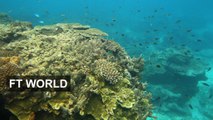 El Nino exacerbates Great Barrier Reef bleaching