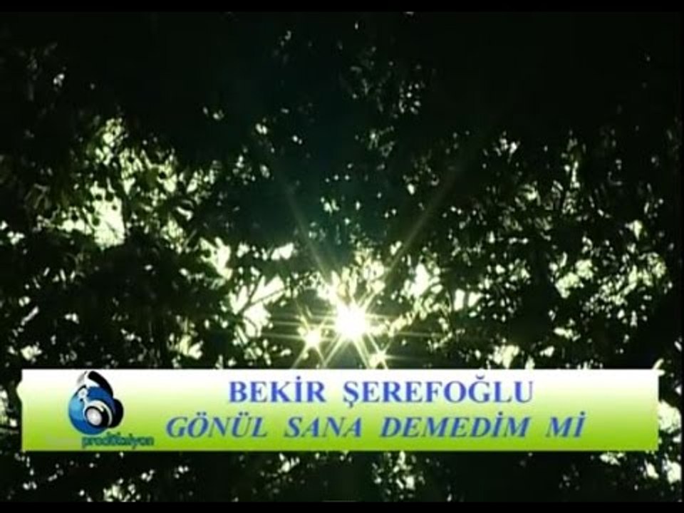 Hacı Bekir Şerefoğlu - Gönül Sana Demedim Mi