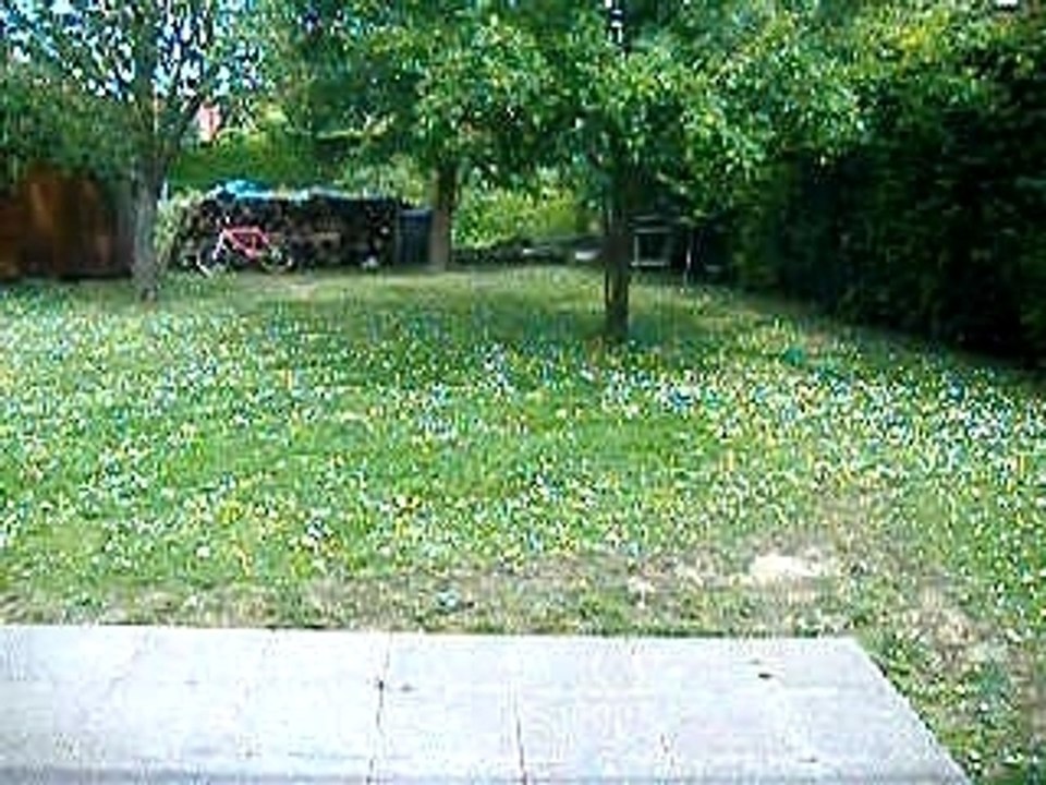 Pablo in the garden ^^