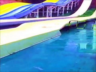Funny Video Clips. Funny Fails. Funny Animals. Funny Pranks
