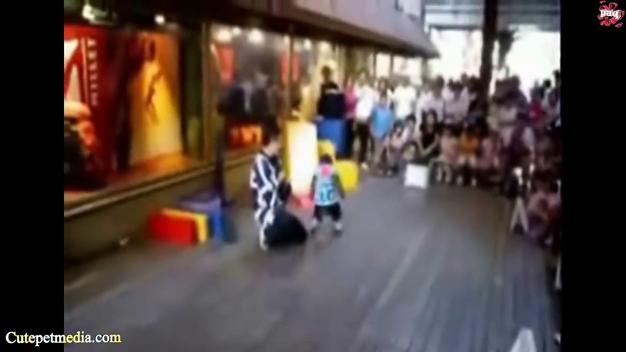 MONKEYS  Funny Monkey Videos 2014 [Funny Pet Media]