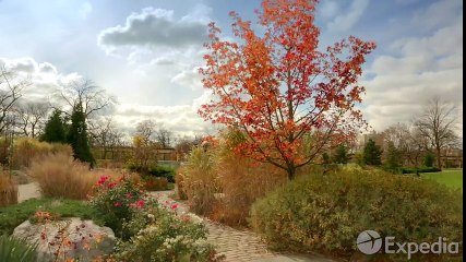 Chicago Vacation Travel Guide   Expedia