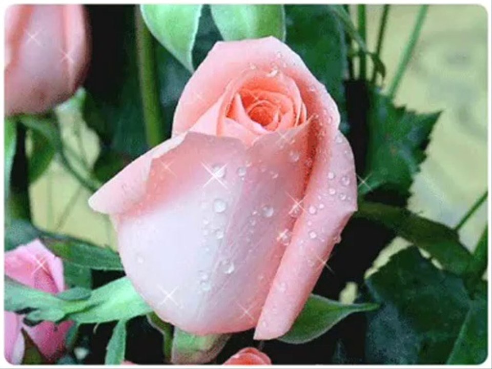 MAMO DLA CIEBIE JESTEM