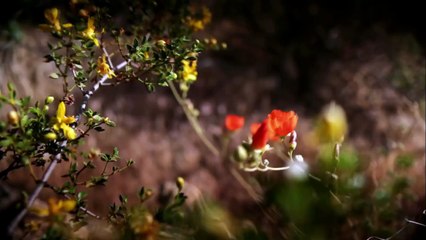 Death Valley 4x4 Challenge Part 1 Top Gear USA Series 2