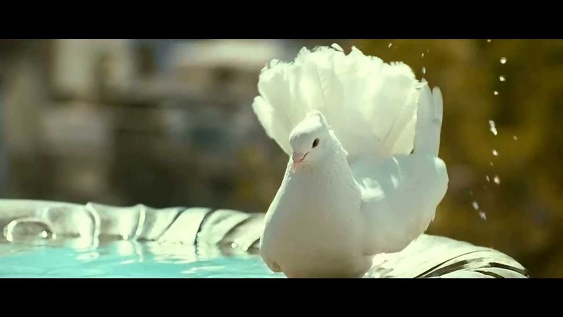 CAN YOU STREAM AMBULANCE