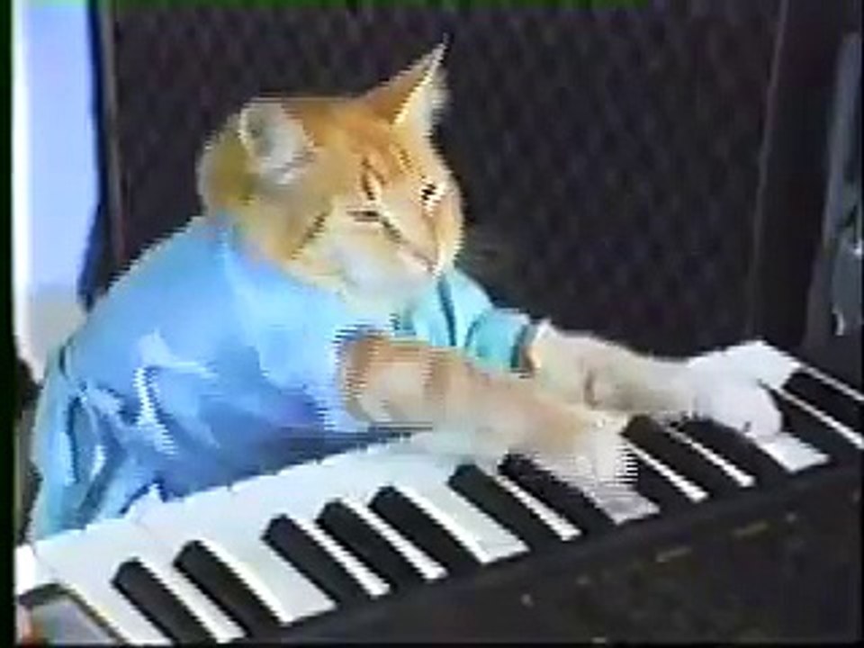 Charlie Schmidt's Keyboard Cat THE ORIGINAL