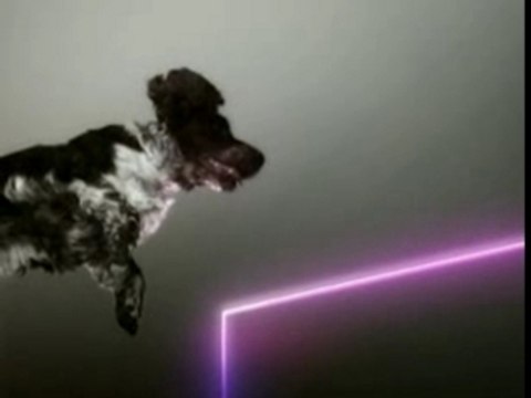 Vitalic - Poney Part 1