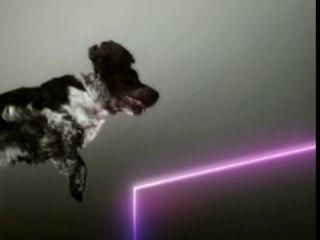 Vitalic - Poney Part 1