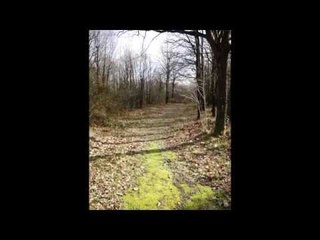 Canlı Ağaç Müzesi Atatürk Arboretumu