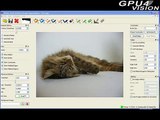 Realtime Interactive Segmentation (Cat)
