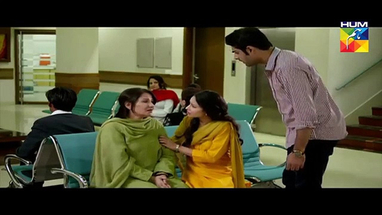 Haya Kay Daman Main Episode 14 Full HUM TV Drama 18 April 2016 - Dailymotion