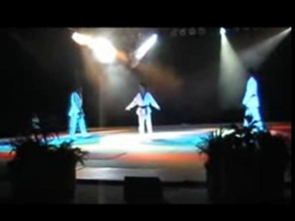 8° nuit nuit des Arts Martiaux