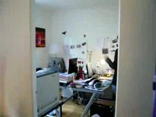 Quand Stéph reçoit des fleurs