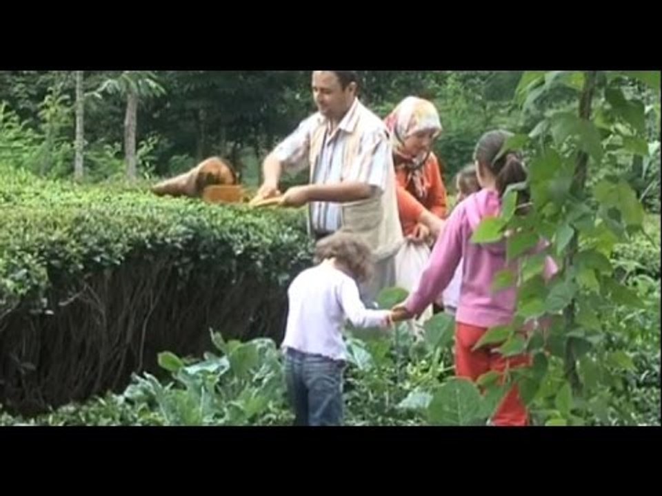 Servet Şahin - Tokat Köyleri