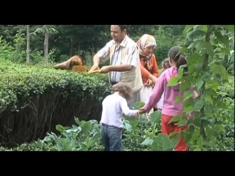 Servet Şahin - Tokat Köyleri