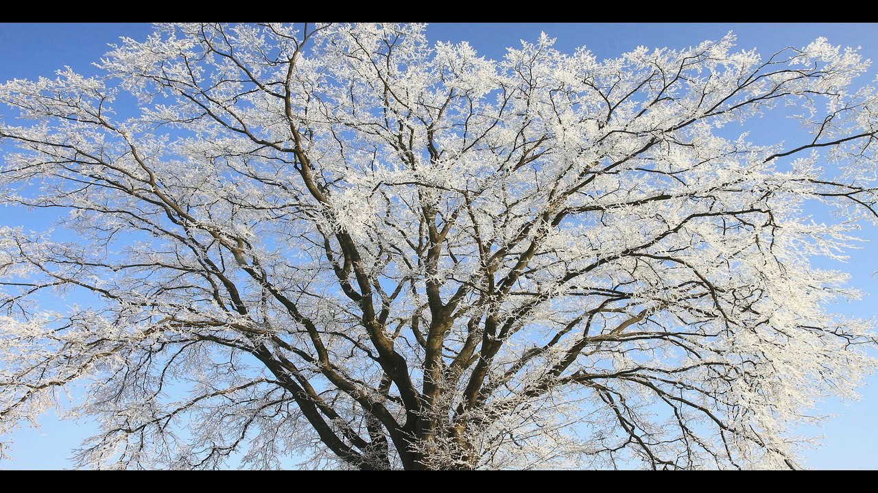 WELIMOWO ZIMĄ (Mazury)