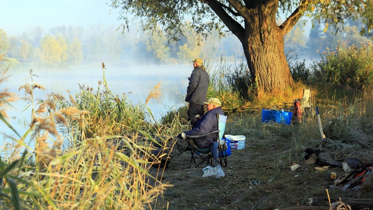 WILANÓW - STAWY KRÓLEWSKIE