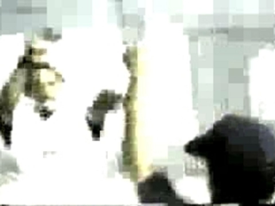 Psycho Realm - Psycho City Blocks