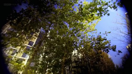 "بداية ونهاية الكون " الحلقة الأولى بعنوان : البــــدايــة