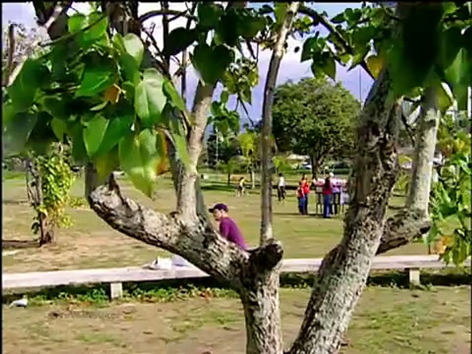 Prova de Amor 18-04-2016 Capítulo 187 Parte Única
