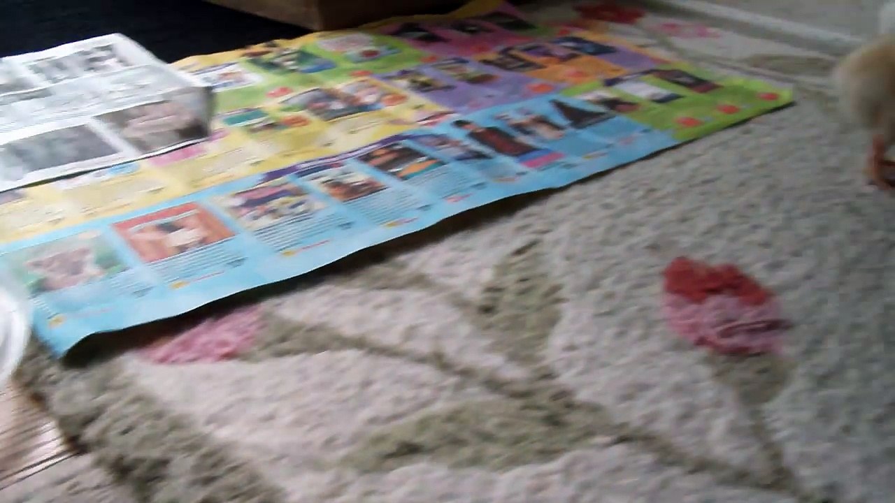 Funny Baby 2