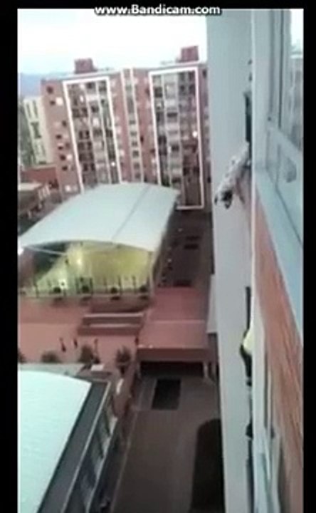 Man Saves Dog Hanging from Building Balcony