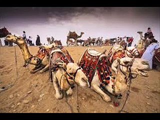 Sesli masal dinle Aynasız ülke