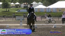 352D Chloe Smyth on Swizzle Training Horse Dressage Galway Downs April 2016
