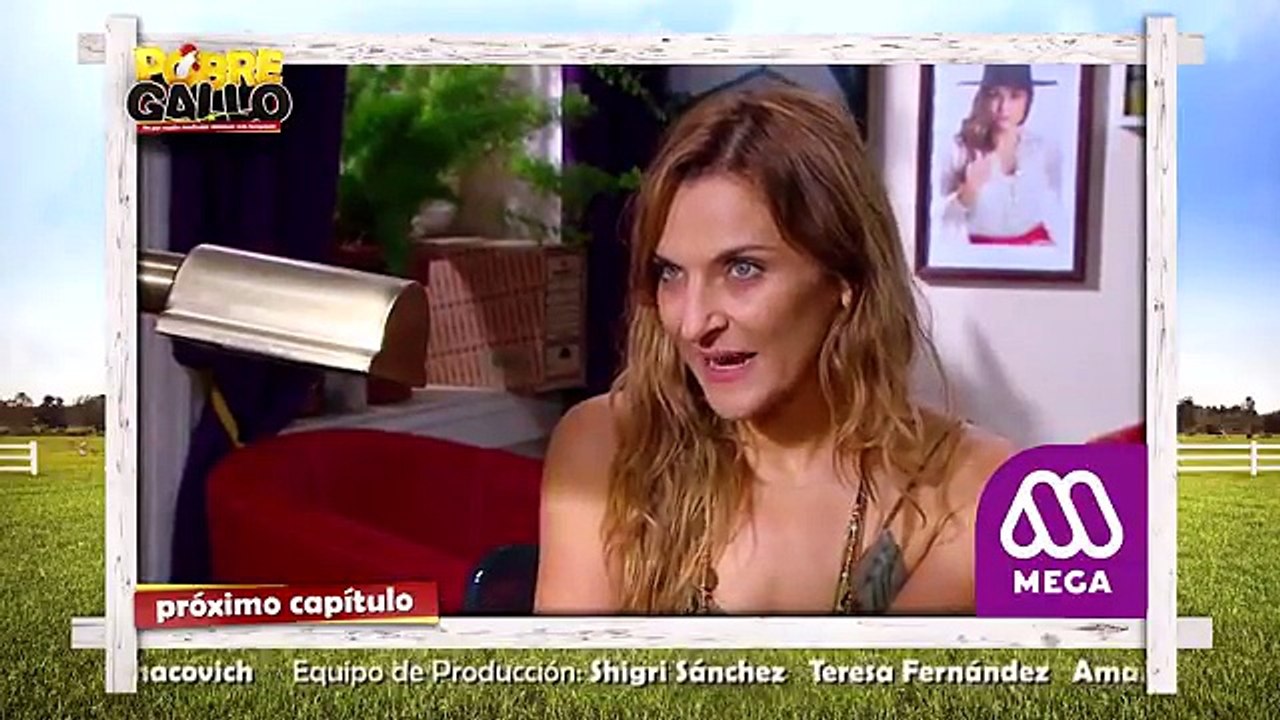 72 Avance Pobre Gallo