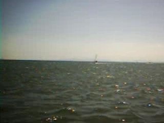 Course Laurent Ded Basile gruissan 2006