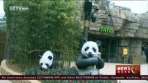 Giant pandas relocate to South Korea