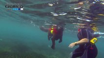 Piscina naturale 2013 Portovenere- Palmaria - Cane salvataggio sott'acqua