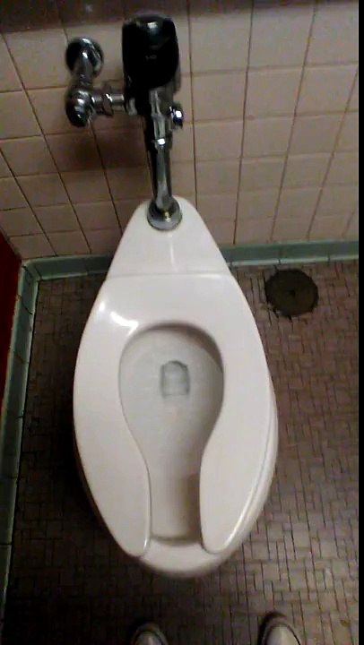 School toilet prank